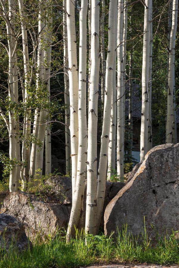 Amazing Highcliffe Lodge Vail Dış mekan fotoğraf